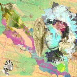 Pakapi Compilation Vol.1 Pakapi Compilation Vol.1