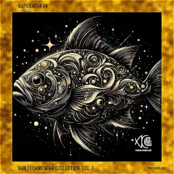 Supernova VA: Dub Techno Star Collection, Vol. 1 Supernova VA: Dub Techno Star Collection, Vol. 1