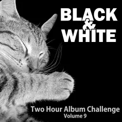 Black & White [2HAC Volume 9]
