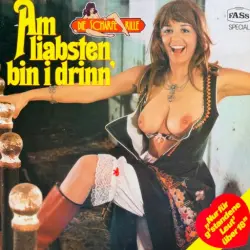 Am liabsten bin i drinn’ Am liabsten bin i drinn’