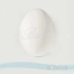 Birth