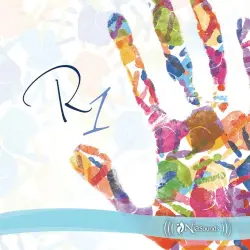 R1 R1