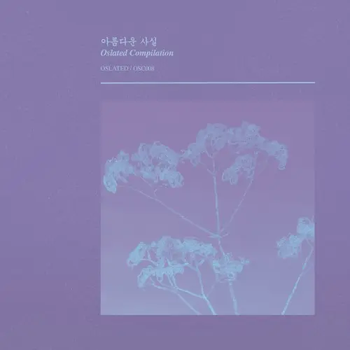 아름다운 사실 Beautiful Facts