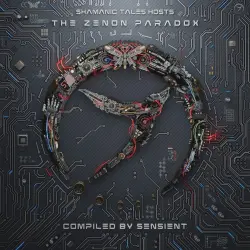The Zenon Paradox