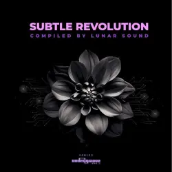 Subtle Revolution Subtle Revolution