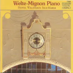 Welte-Mignon Piano (Hotel Waldhaus Sils-Maria) Welte-Mignon Piano (Hotel Waldhaus Sils-Maria)