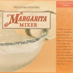 Margarita Mixer