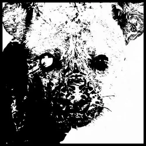 The Great Sodomite Ass Hyena Motherfucker