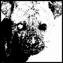 The Great Sodomite Ass Hyena Motherfucker