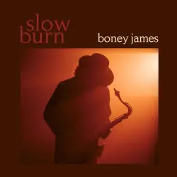 Slow Burn Slow Burn
