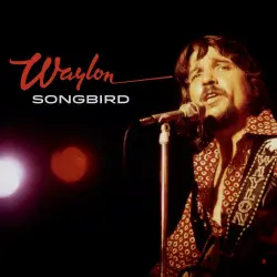 Songbird