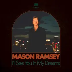 I'll See You In My Dreams