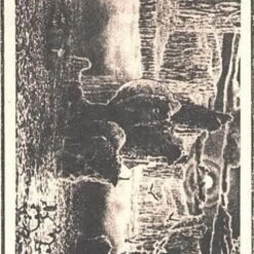 Hallucinatory Executions