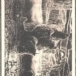 Hallucinatory Executions