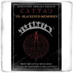 VII - Blackened Memories