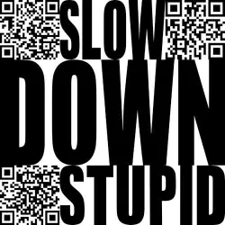 Slow Down Stupid Slow Down Stupid