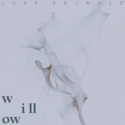 willow