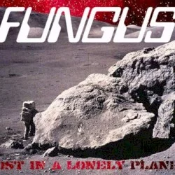 Lost in a Lonely Planet