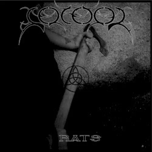 Rats