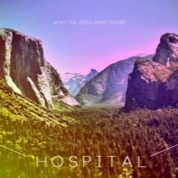 When the Trees Were Higher