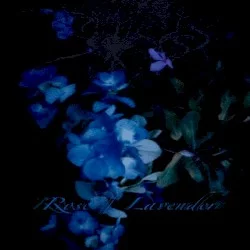 Rose / Lavender