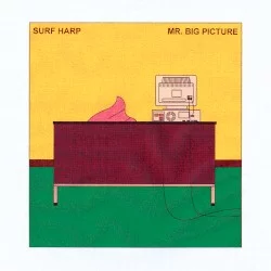 Mr. Big Picture
