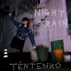 NIGHT TRAIN