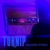 Haunted Stereo
