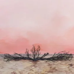 Seven Storms