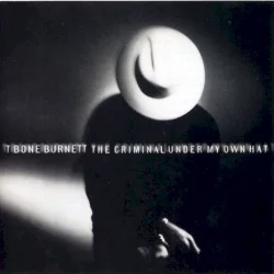 The Criminal Under My Own Hat