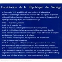 Constitution de la République du sauvage