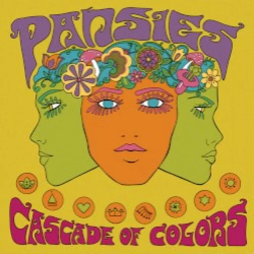 Cascade of Colors