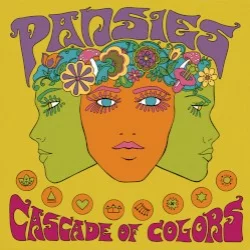 Cascade of Colors