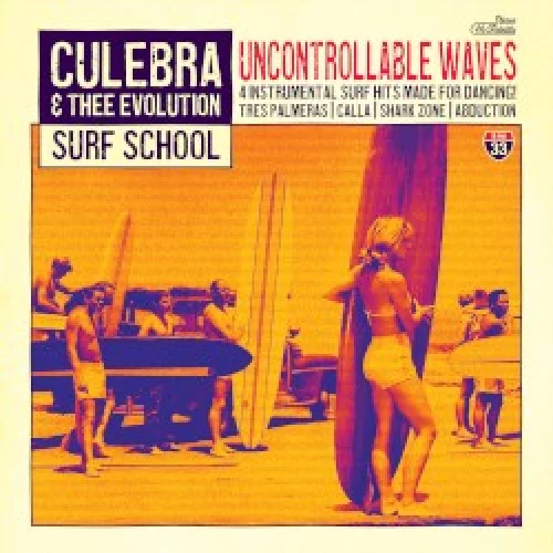 Uncontrollable Waves
