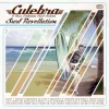 Surf Revellution