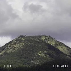 Buffalo