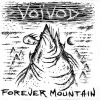 Forever Mountain / Phonetics for the Stupefied