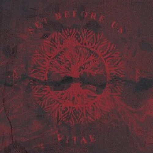 Vitae
