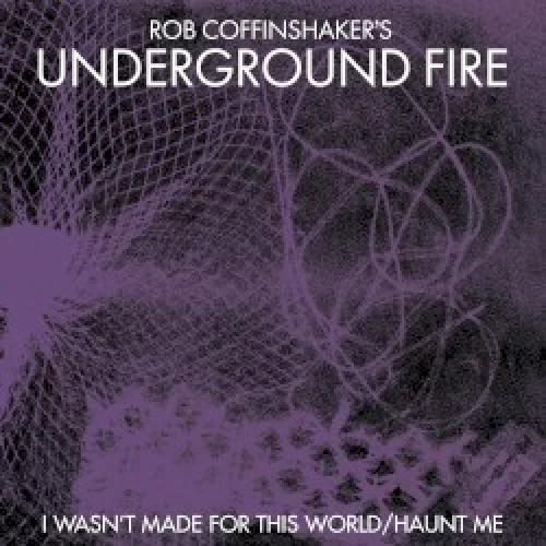 I Wasn’t Made for This World / Haunt Me