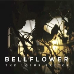 The Lotus Factor