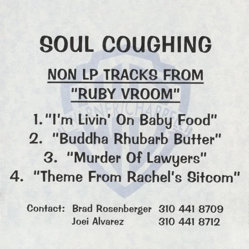 Non LP Tracks From Ruby Vroom