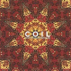 Stolen & Contaminated Songs