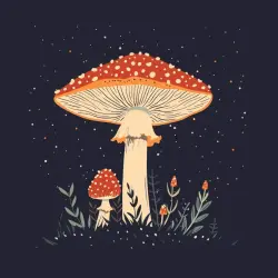 Weekly Magic Volume 16 Weekly Magic Volume 16