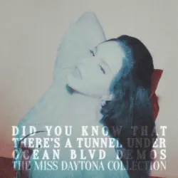 Did you know that there's a tunnel under Ocean Blvd Demos