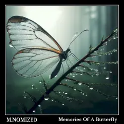 Memories of a Butterfly Memories of a Butterfly