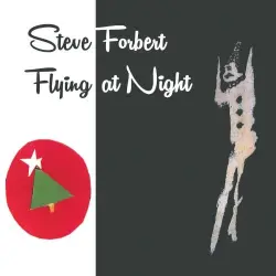 Flying At Night Flying At Night