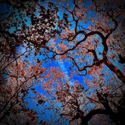 Entropy