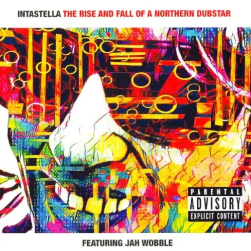 The Rise And Fall Of A Northern Dubstar