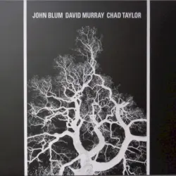 The Recursive Tree