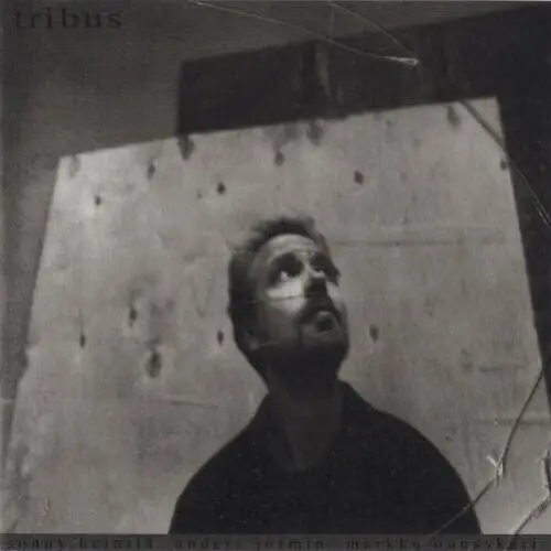 Tribus